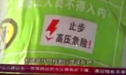 广东珠江台今日关注爆料,揭秘热点事件背后的真相