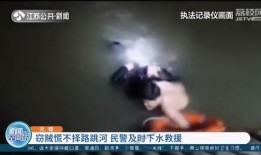 最新偷鱼爆料新闻视频大全,揭秘水下盗猎黑幕